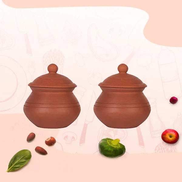 Benefits of Using Clay Curd Pot – Village Decor.com