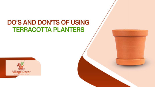 Do’s and Don’Ts of Using Terracotta Planters