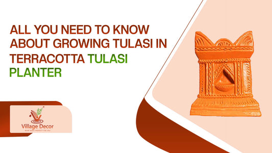 All You Need to Know About Growing Tulsi in Terracotta Planters