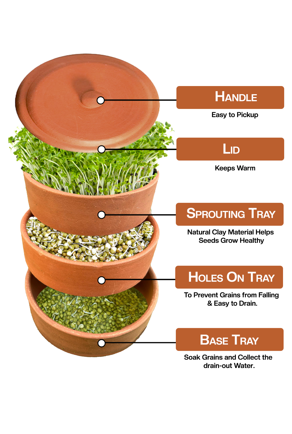 Earthen Clay Sprout Box (3 container)